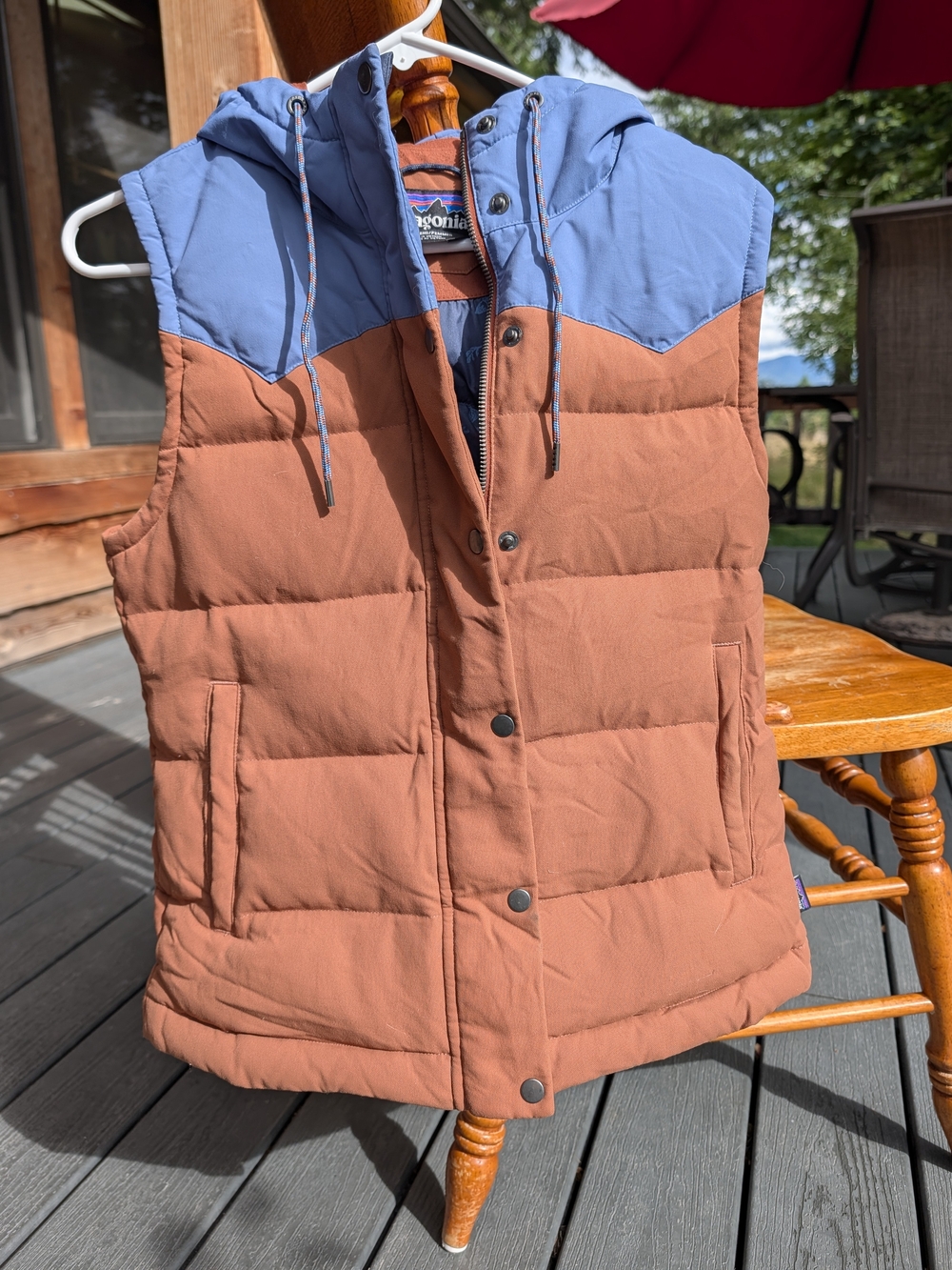 Patagonia Classic Women's Hooded Bivy Down Vest